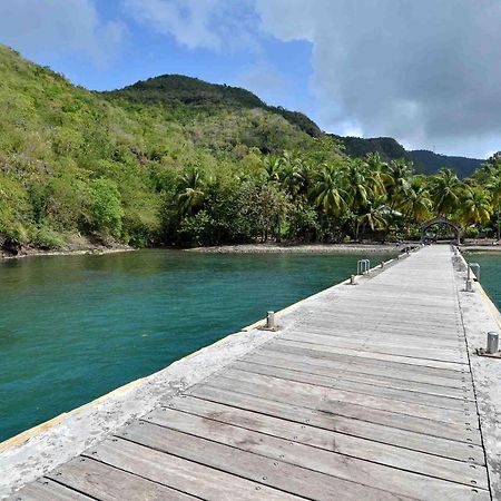Apartmán Les Hibiscus L'Anse Noire Exteriér fotografie