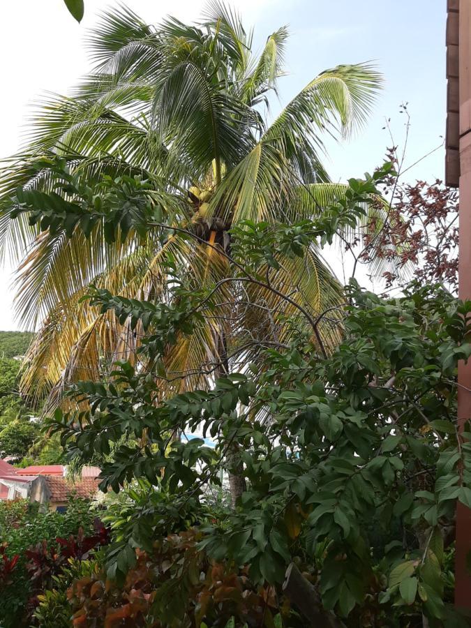 Apartmán Les Hibiscus L'Anse Noire Exteriér fotografie
